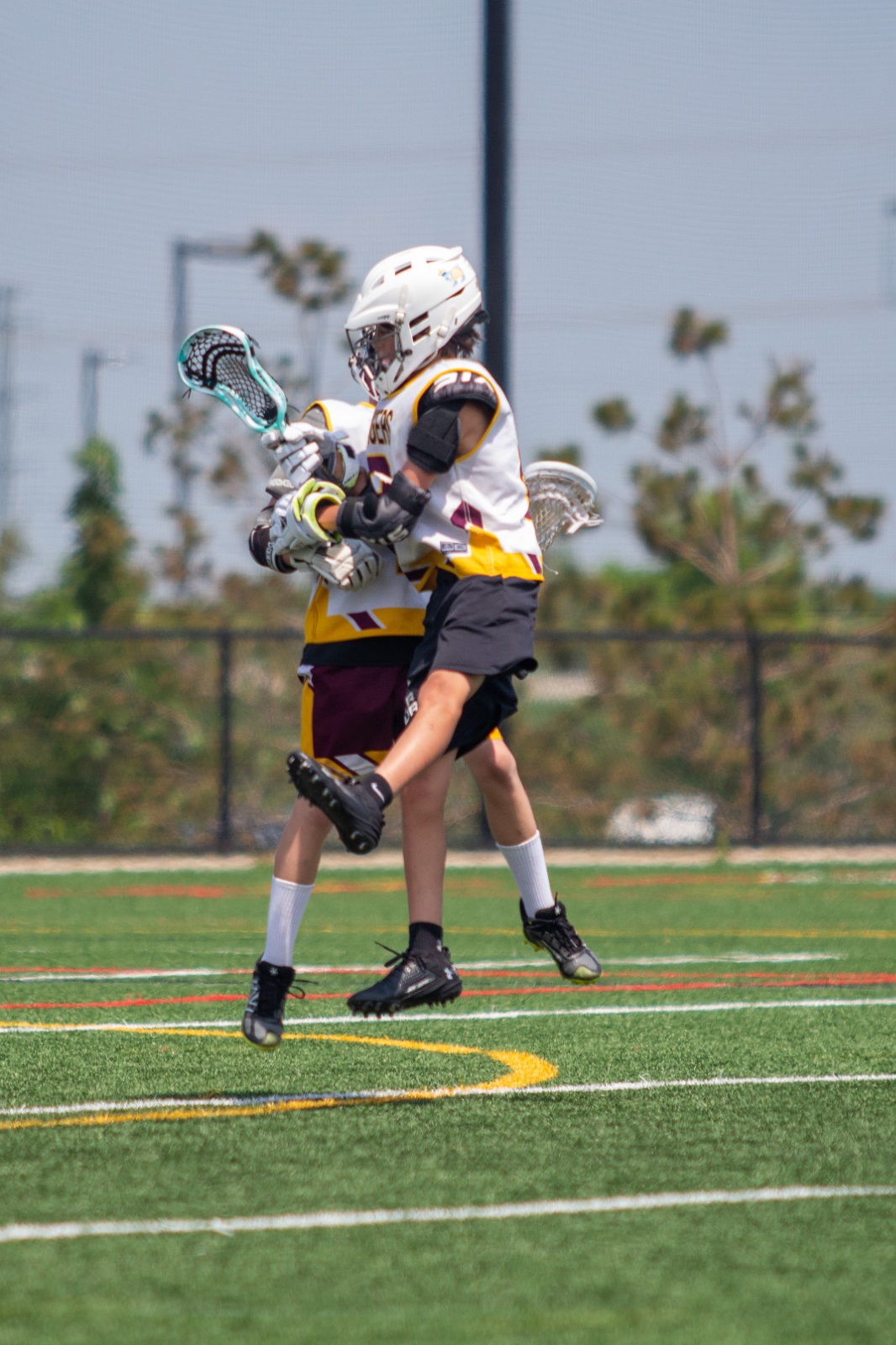 Forest Lake Lacrosse Powered by TeamLinkt