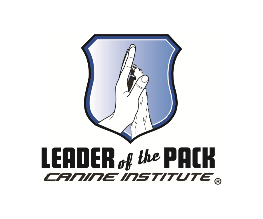 Brandywine Youth Baseball Association Powered by TeamLinkt