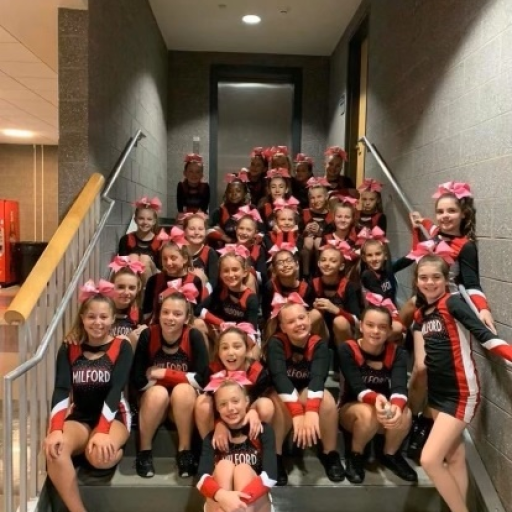 Milford Youth Football And Cheer Powered by TeamLinkt