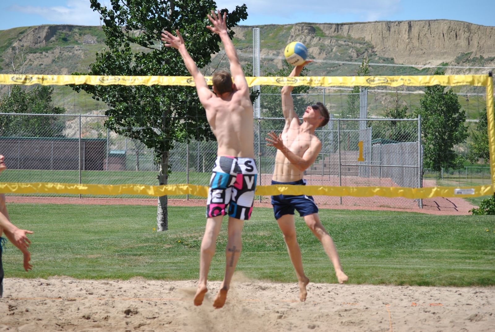 Volleyball Powered by TeamLinkt