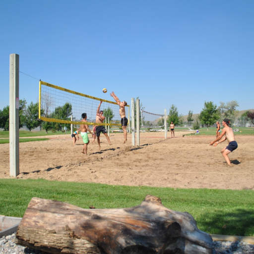 Volleyball Powered by TeamLinkt