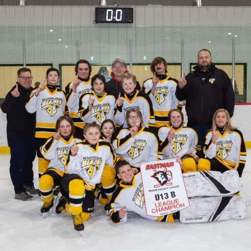 Beausejour Brokenhead Minor Hockey Powered by TeamLinkt