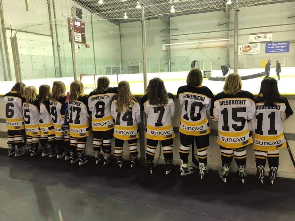 Beausejour Brokenhead Minor Hockey Powered by TeamLinkt