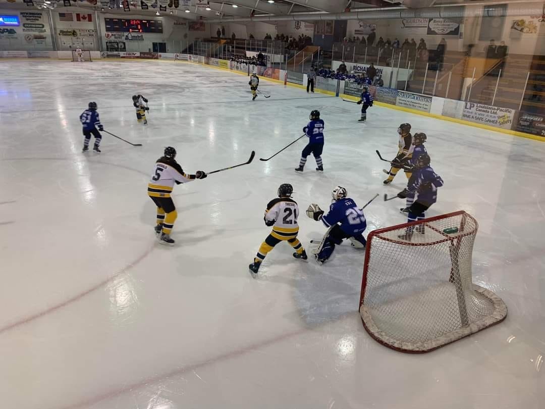 Beausejour Brokenhead Minor Hockey Powered by TeamLinkt