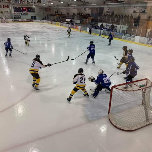 Beausejour Brokenhead Minor Hockey Powered by TeamLinkt