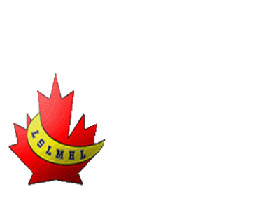 Lower St. Lawrence Minor Hockey League and HEO District 2