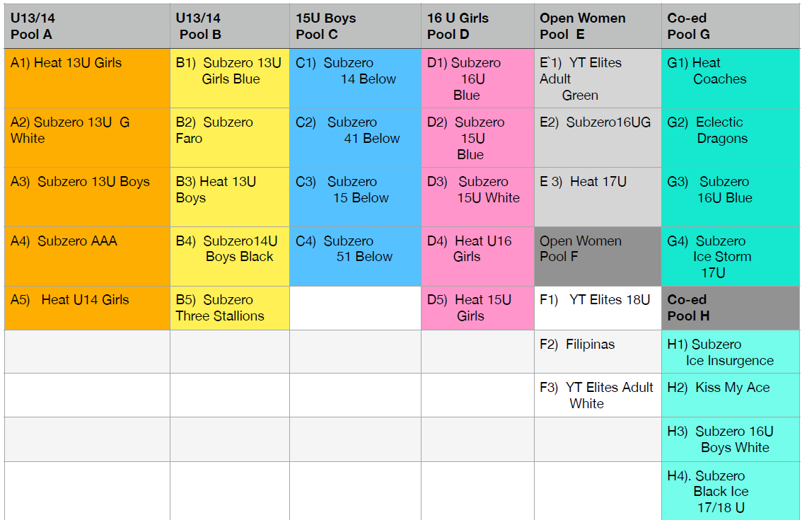 Subzero Volleyball Club Powered by TeamLinkt