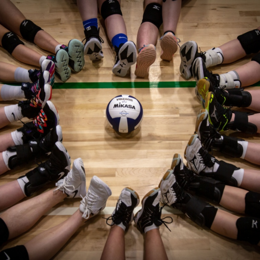 Vertical Limit Volleyball Club TeamLinkt