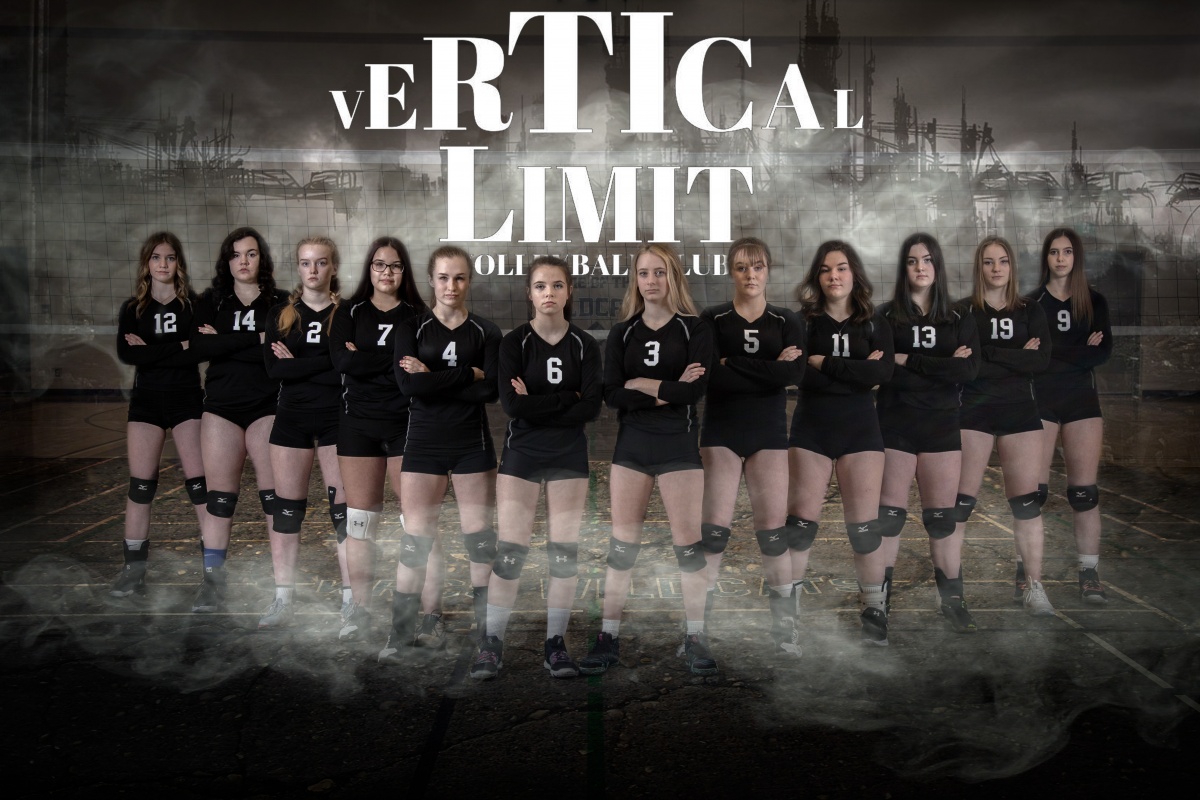 Vertical Limit Volleyball Club TeamLinkt