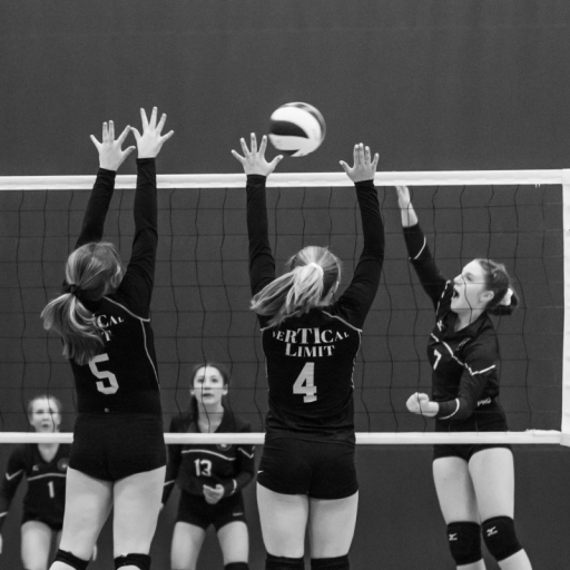 Vertical Limit Volleyball Club TeamLinkt