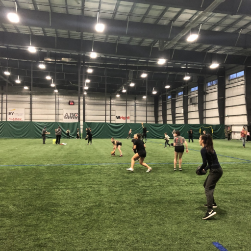 Saskatoon Lasers Softball Powered by TeamLinkt
