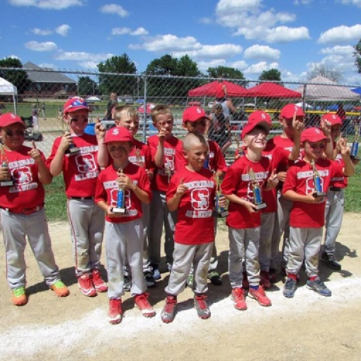 Thornville Youth Recreation Association TeamLinkt