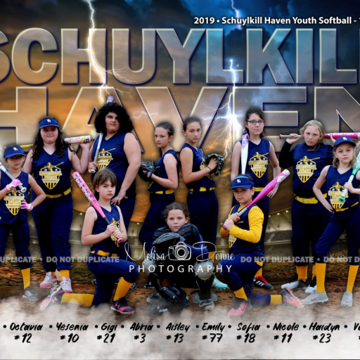 Schuylkill Haven Youth Softball Association Powered by TeamLinkt