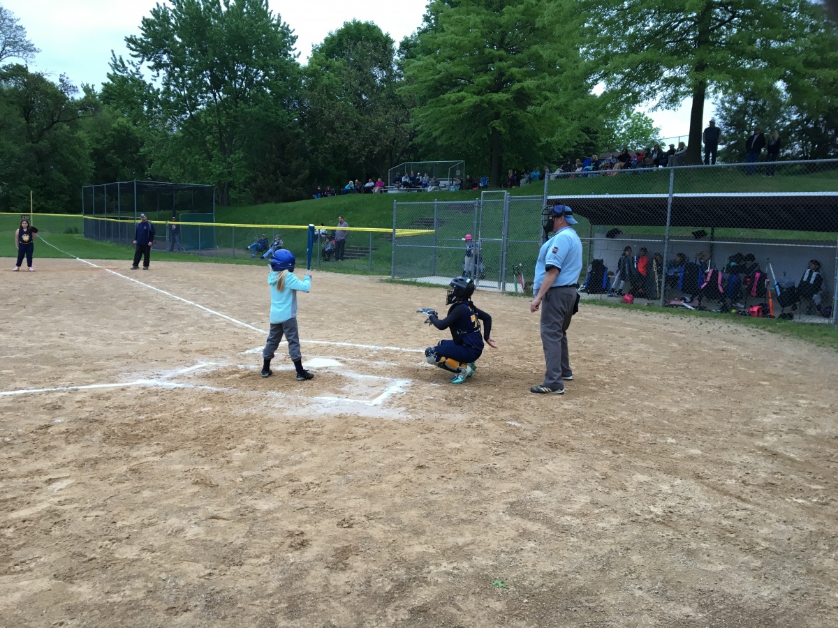 Schuylkill Haven Youth Softball Association Powered by TeamLinkt