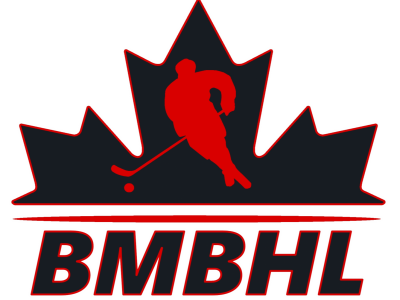 Brantford Minor Ball Hockey League
