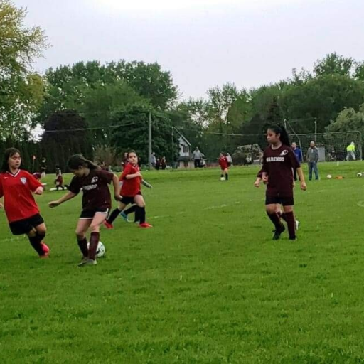 Goal Soccer Club Powered by TeamLinkt