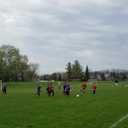 Goal Soccer Club TeamLinkt