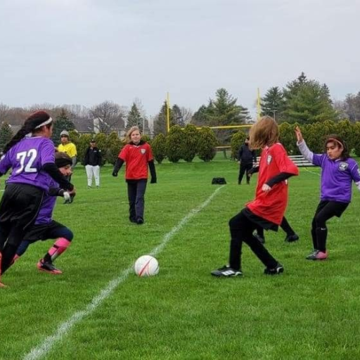 Goal Soccer Club TeamLinkt