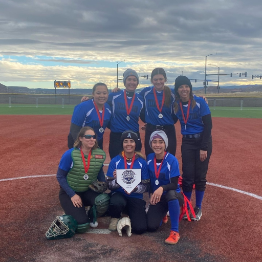 Womens Fastpitch Softball Association TeamLinkt