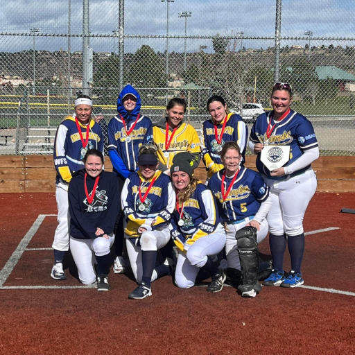 Womens Fastpitch Softball Association TeamLinkt