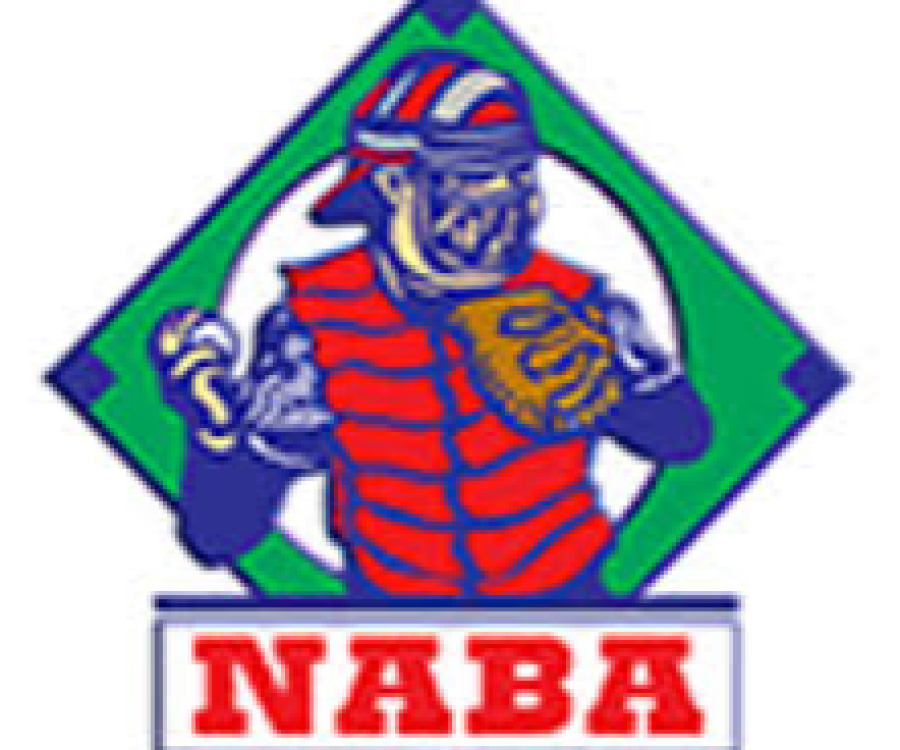 Womens Fastpitch Softball Association Powered by TeamLinkt