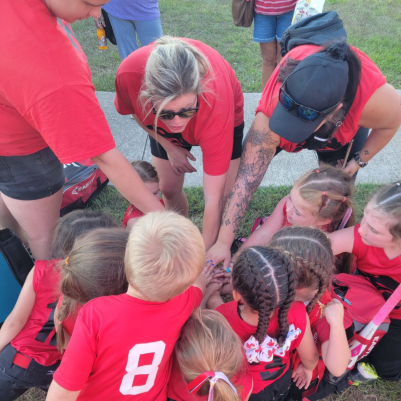 Danbury Girls Softball Association Powered by TeamLinkt