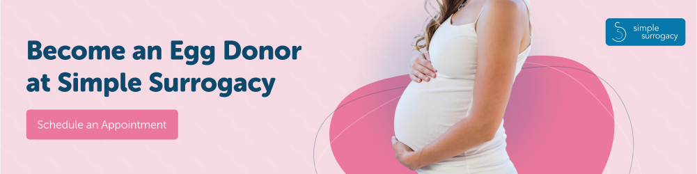 Simple Surrogacy - Sevices