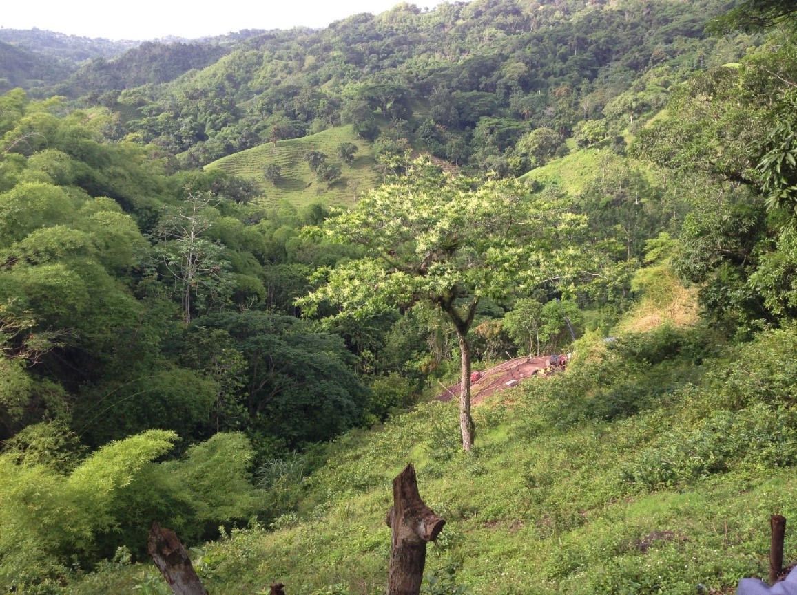 Palisade Mine Tour IV Jamaican Us Crazy For Copper, Mon, by