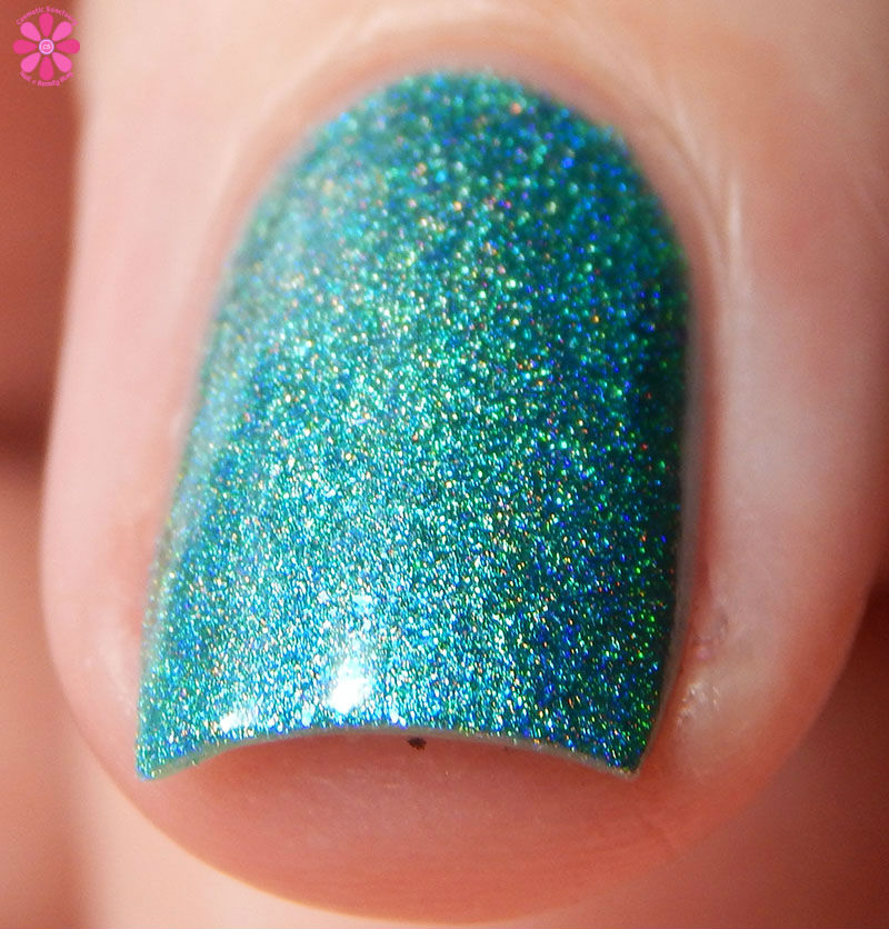 Holo hookup august 2016