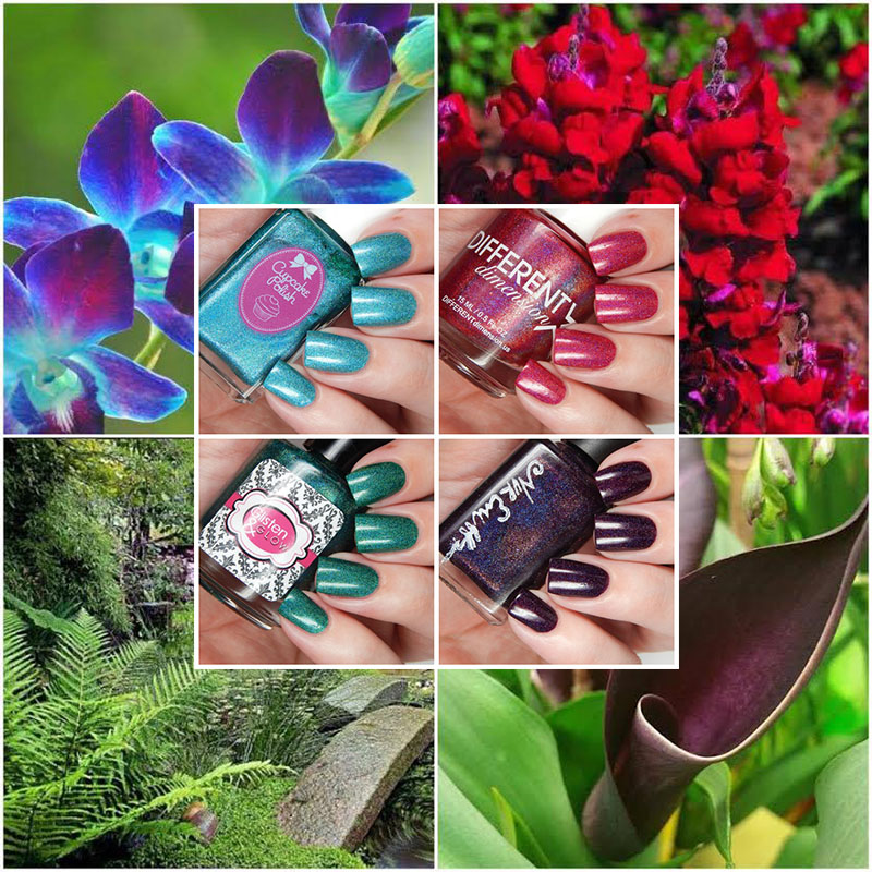 Holo hookup august 2016