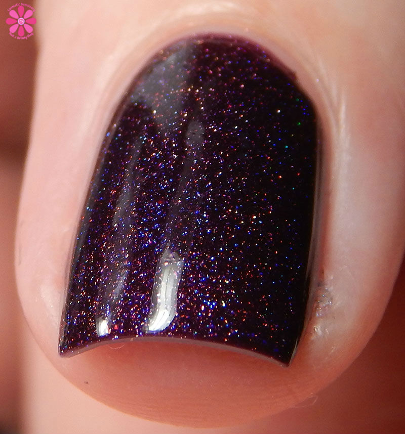 Holo hookup august 2016