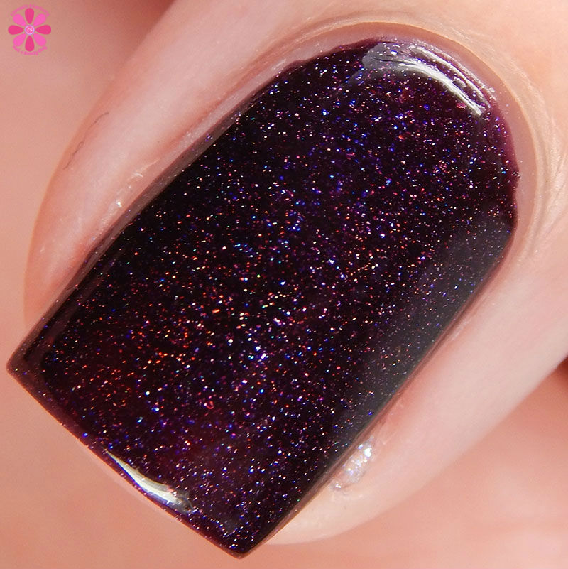 Holo hookup august 2016