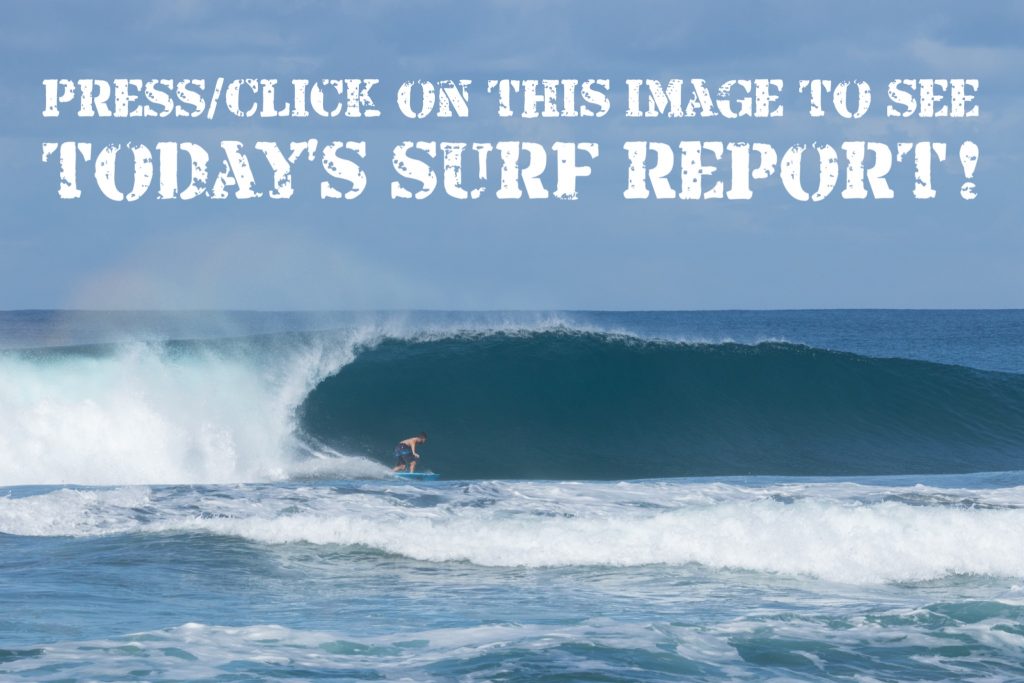 Surf Report Fresh Estate Agents