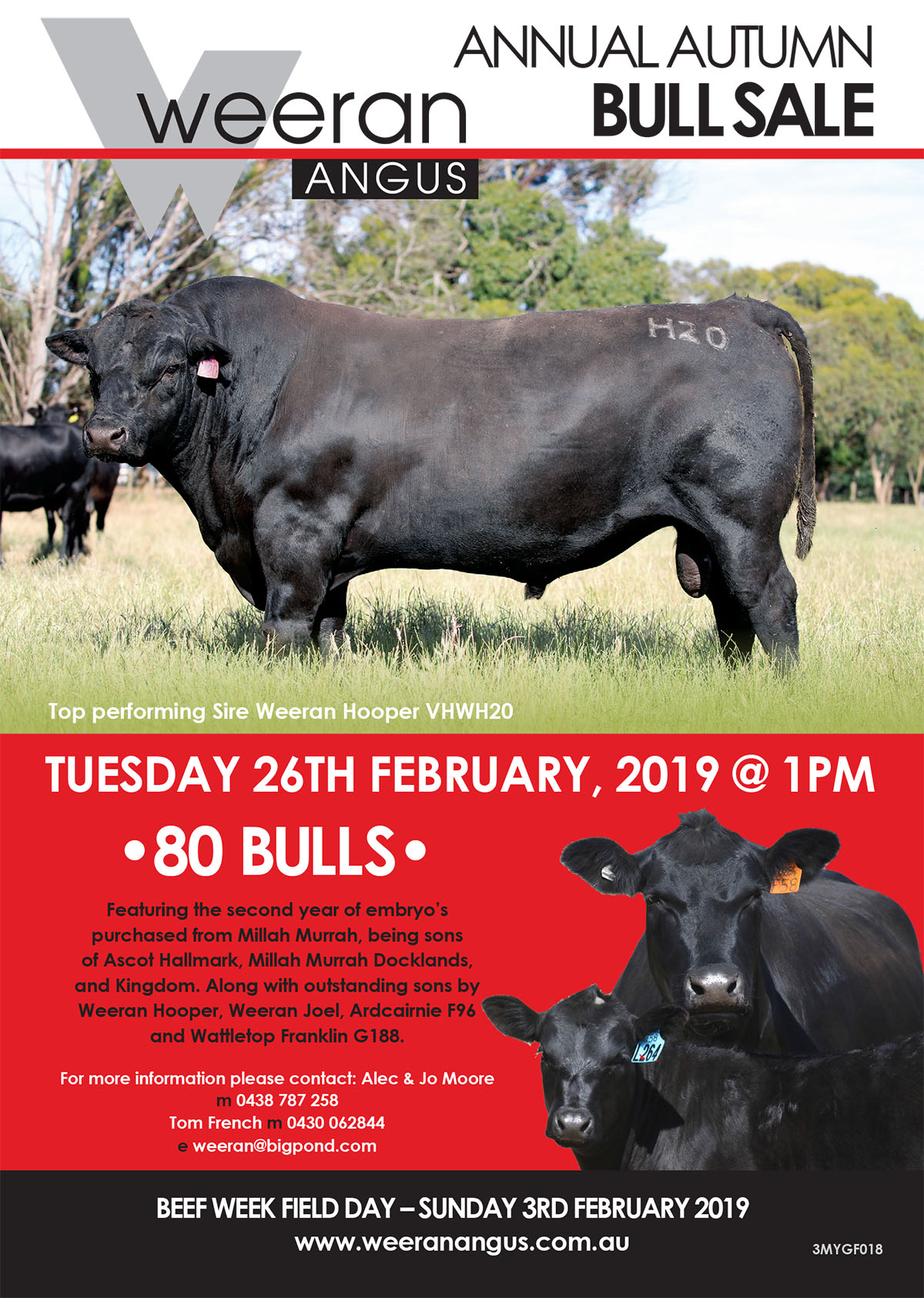 Weeran Angust Annual Autumn Bull Sale