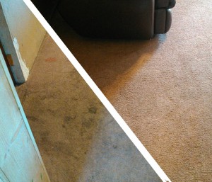 Carpet Cleaning, Butte, MT