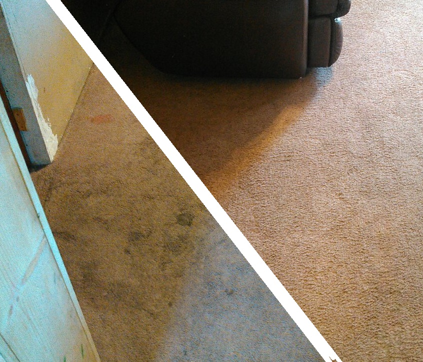 Carpet Cleaning Hot Water Extraction Butte, Montana