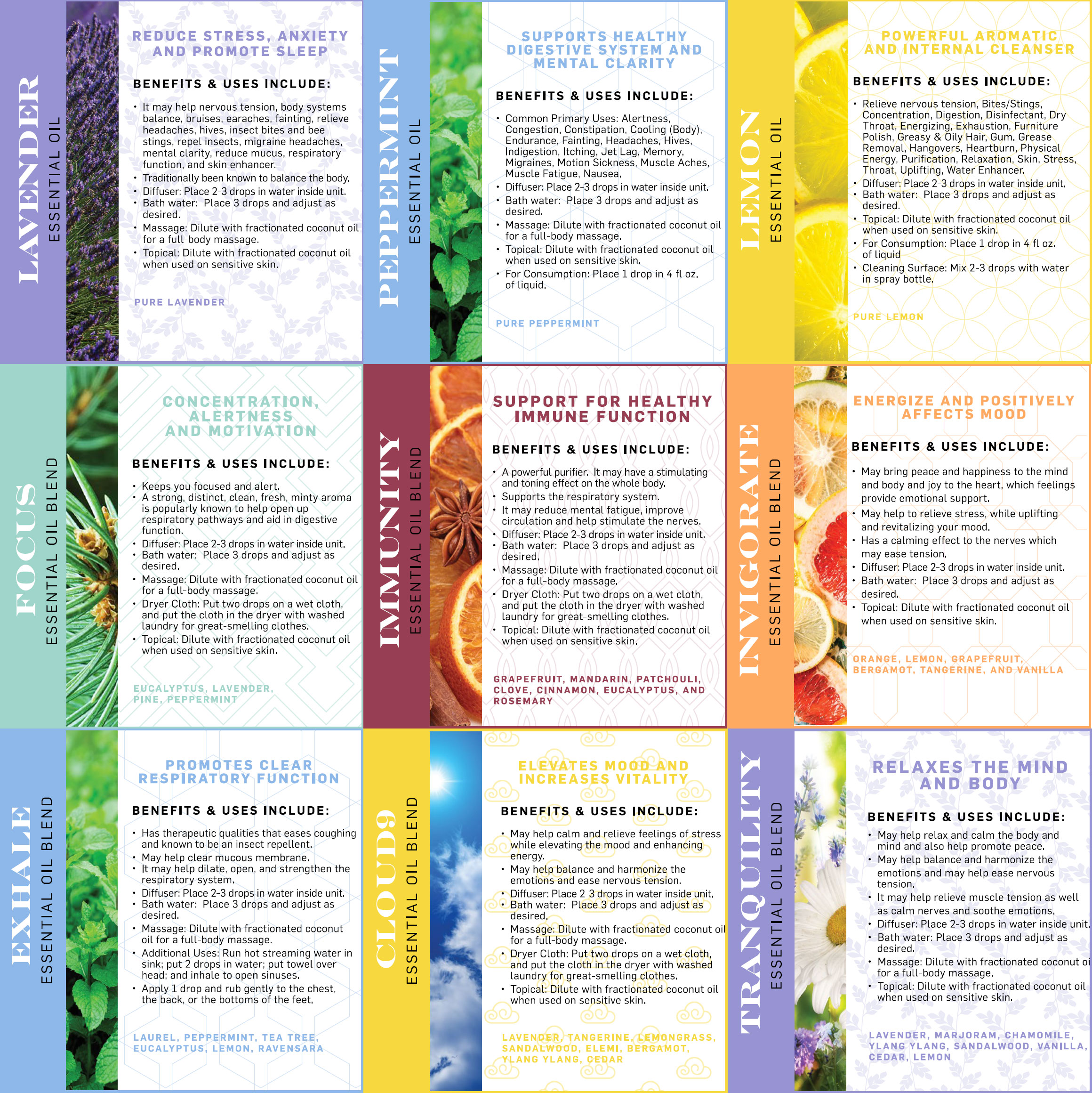 The Different Types Of Aromatherapy Oils And Their Benefits The Different Types Of Aromatherapy Oils And Their Benefits