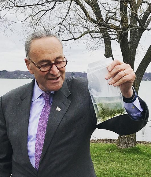 Chuck Schumer Wiki: Everything To Know About The Senator Of New York