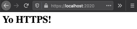 Yo HTTPS! Go Server (in a container w/ HTTPS)