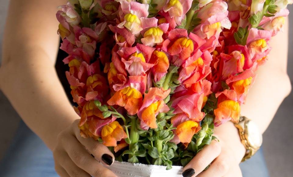 TASU Chips, se expande a El Salvador República.gt