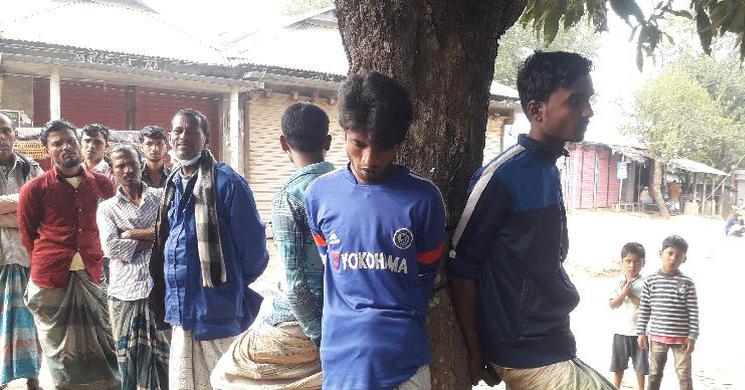 ময়মনসিংহে গাছে বেধে নির্যাতন, ইউপি সদস্যসহ গ্রেফতার ৩