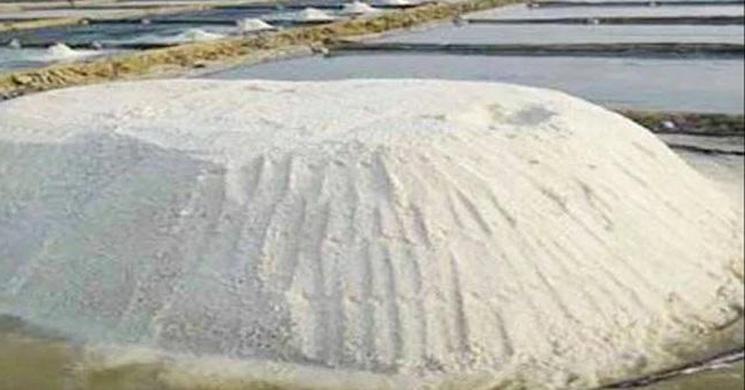 লবণের চাহিদা খাদ্যের চেয়েও দেড়গুণ বাড়বে শিল্প ও প্রাণিসম্পদ খাতে