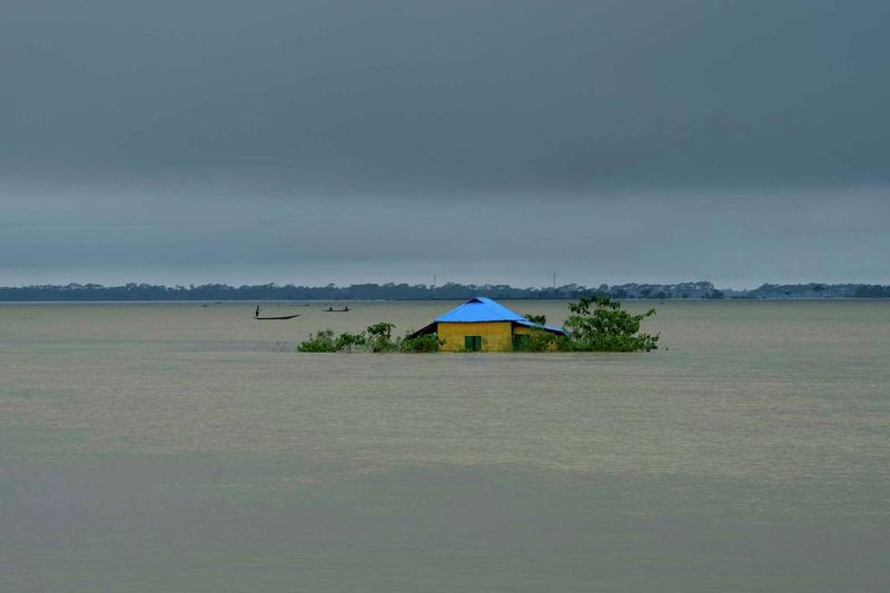 ছবি: ইন্টারনেট