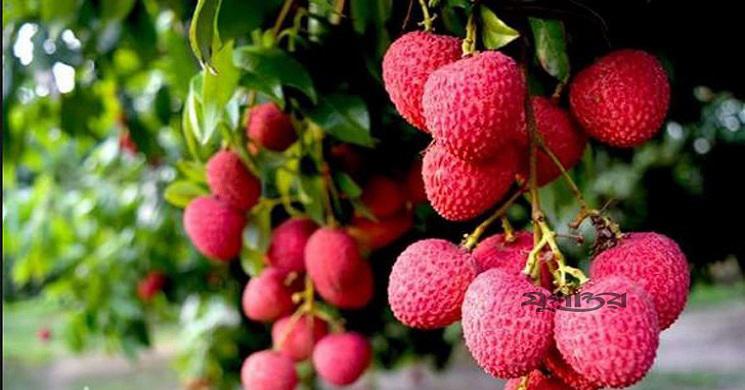 ছবি: ইন্টারনেট
