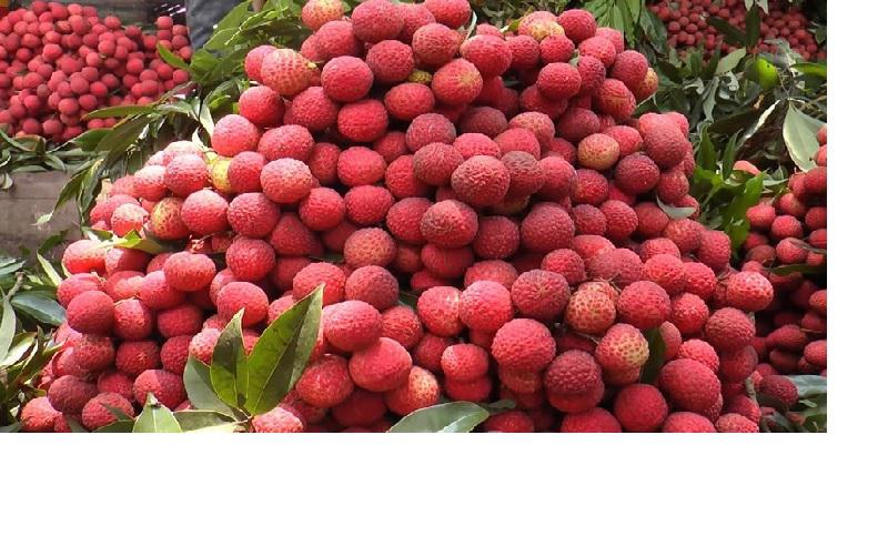 ছবি: ইন্টারনেট