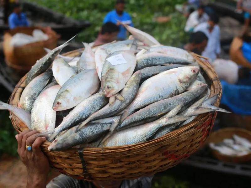 বাড়বে ব্যবসা