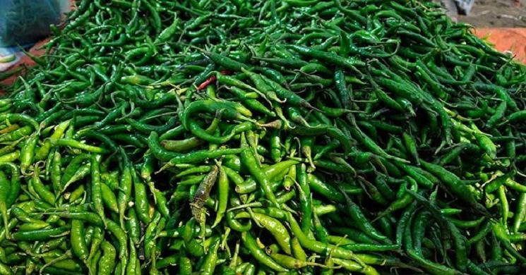 ছবি: ইন্টারনেট