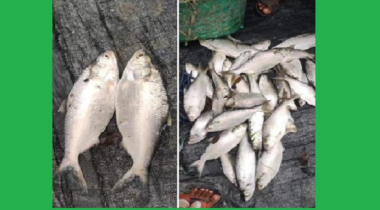 ছবি: ইন্টারনেট