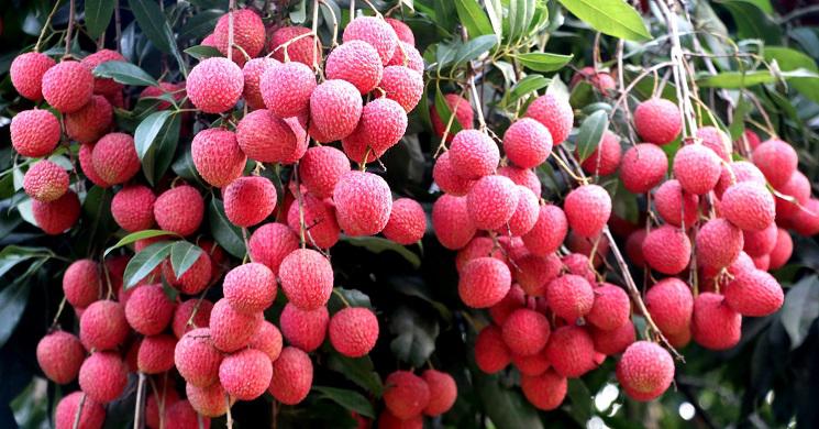 ছবি: ইন্টারনেট