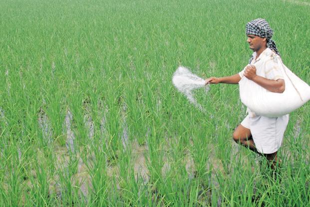 ছবি: ইন্টারনেট